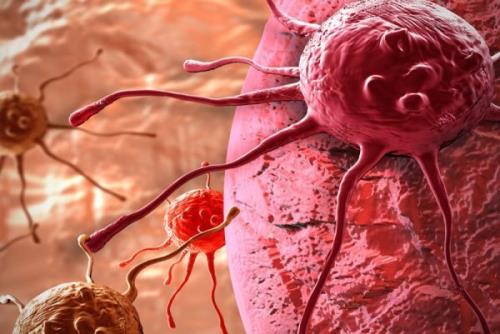 تاثیر ترکیب بادرنجبویه ونانو نقره-گرافن در مهار سلول های سرطانی